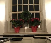 christmas poinsettas window candle